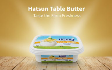 Hatsun Pasteurized Table Butter 100g - Salted
